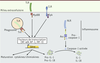 Figure 2. Figure 2.