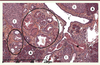 Figure 3. Figure 3.
