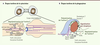 Figure 2. Figure 2.