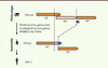 Figure 1. Figure 1.