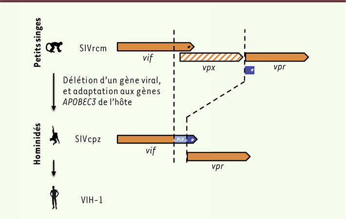 Figure 1.