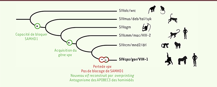 Figure 2.