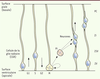Figure 1. Figure 1.