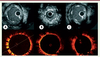 Figure 4. Figure 4.