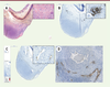 Figure 2. Figure 2.