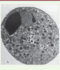 Figure 2. Figure 2.