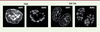 Figure 1. Figure 1.