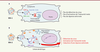 Figure 1. Figure 1.