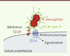 Figure 2. Figure 2.