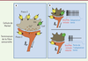 Figure 2. Figure 2.