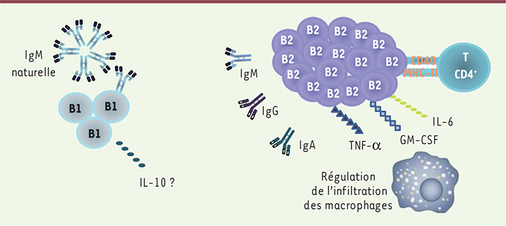 Figure 2.