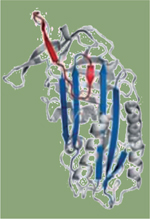 inline-graphic medsci20143010p889-img1.jpg