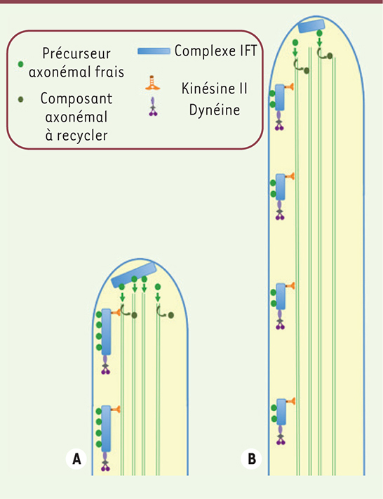 Figure 5.