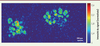 Figure 2. Figure 2.