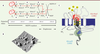 Figure 3. Figure 3.