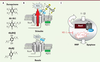 Figure 4. Figure 4.