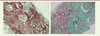 Figure 2. Figure 2.