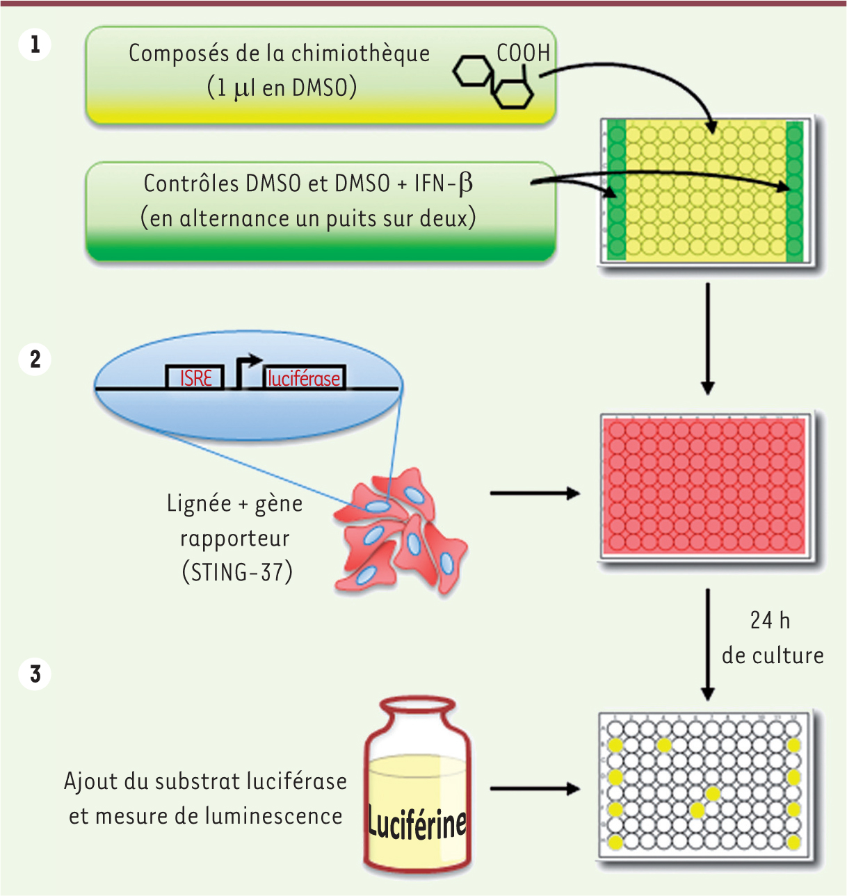 Figure 2.