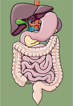 inline-graphic medsci20153102p168-img1.jpg