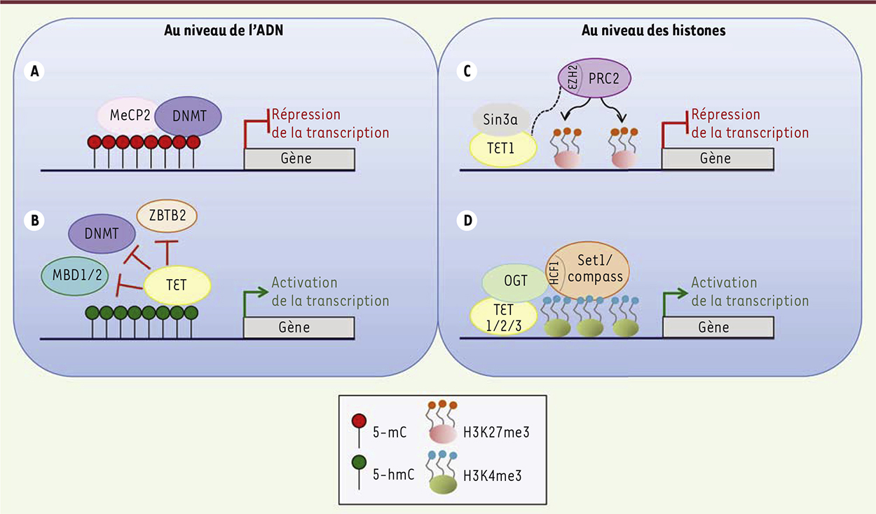 Figure 3.