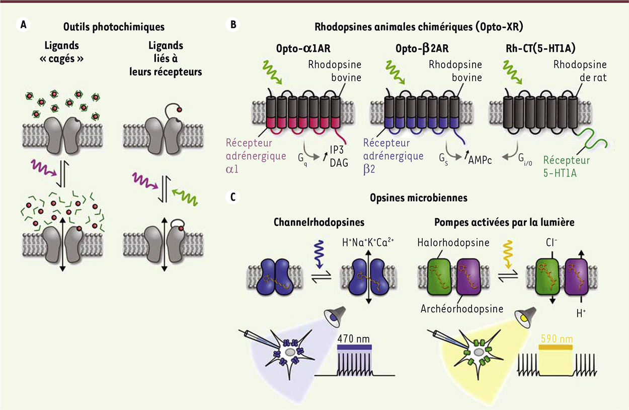 Figure 3.