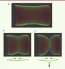Figure 2. Figure 2.