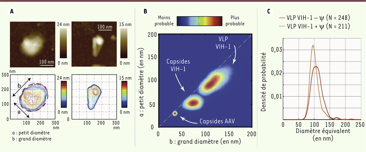 Figure 4.