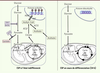 Figure 2. Figure 2.