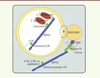 Figure 2. Figure 2.