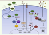 Figure 2. Figure 2.