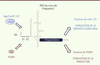 Figure 1. Figure 1.