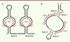 Figure 3. Figure 3.