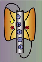 inline-graphic medsci2015318-9p735-img1.jpg