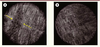 Figure 5. Figure 5.