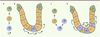 Figure 3. Figure 3.