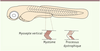 Figure 1. Figure 1.