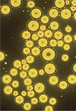 inline-graphic medsci20153112p1109-img1.jpg