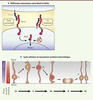 Figure 2. Figure 2.
