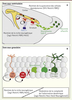 Figure 4. Figure 4.