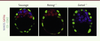 Figure 2. Figure 2.