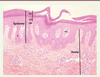 Figure 2. Figure 2.