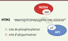 Figure 1. Figure 1.