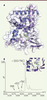 Figure 2. Figure 2.