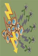 inline-graphic medsci20163204p362-img1.jpg