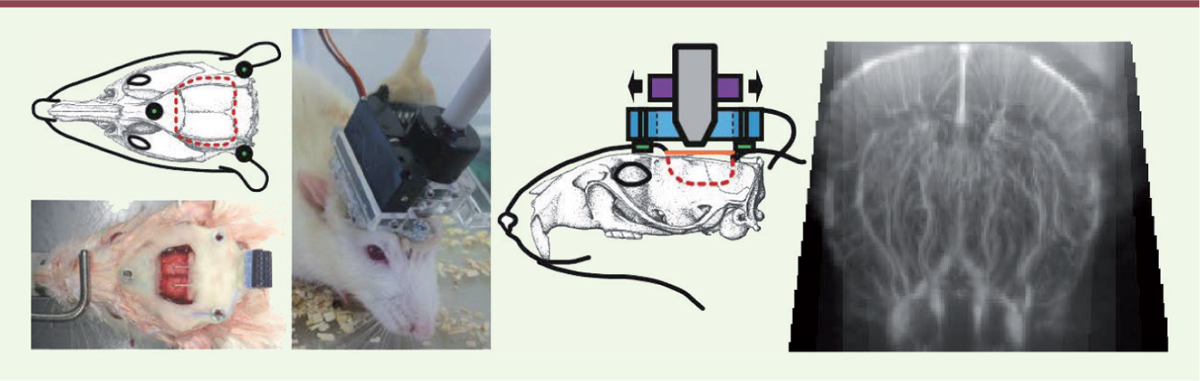 Figure 1.