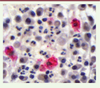 Figure 2. Figure 2.