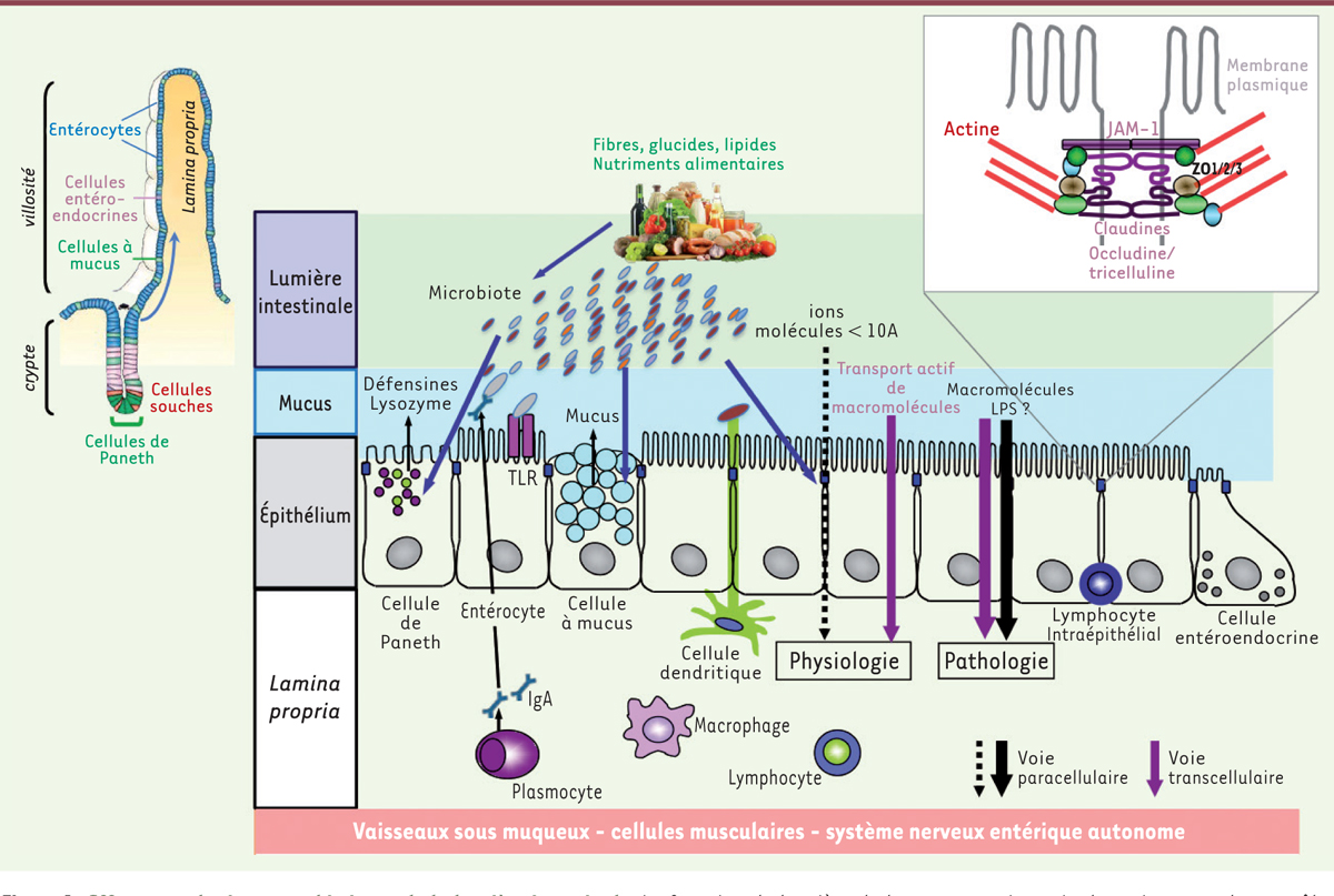 Figure 1.