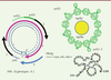 Figure 2. Figure 2.