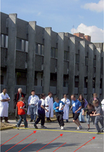 inline-graphic medsci2016328-9p746-img1.jpg