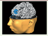 Figure 2. Figure 2.
